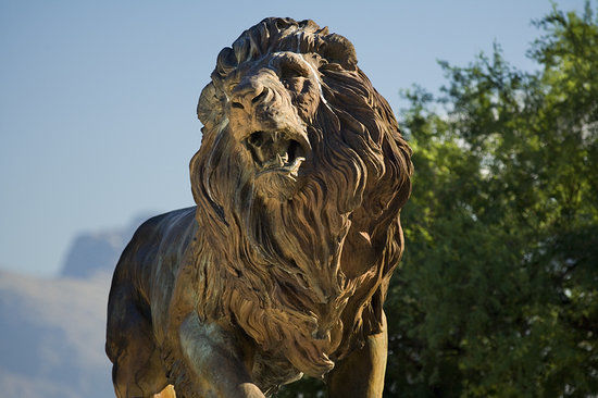 International Wildlife Museum